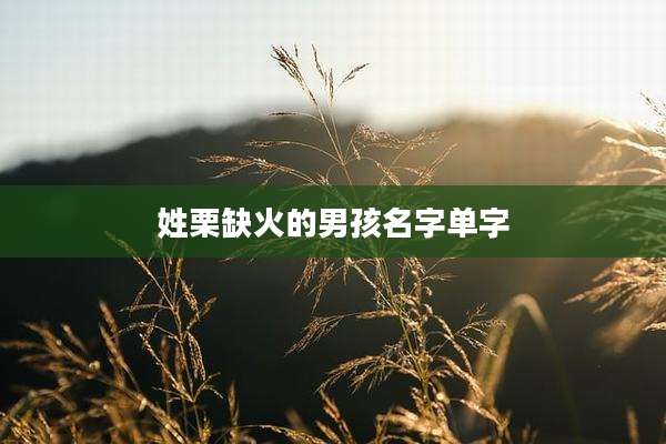 姓栗缺火的男孩名字单字