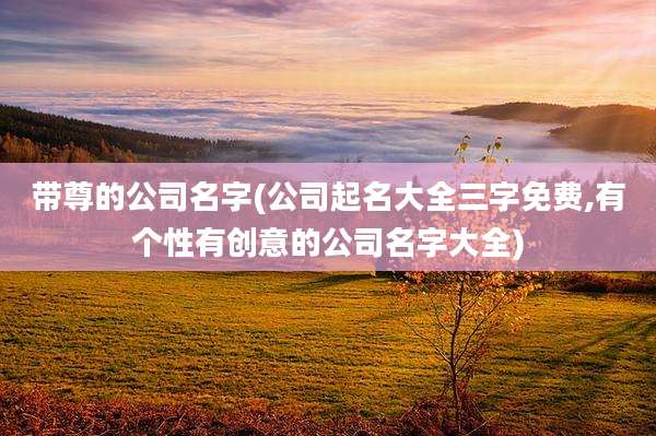 带尊的公司名字(公司起名大全三字免费,有个性有创意的公司名字大全)