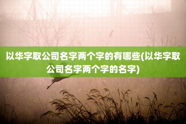 以华字取公司名字两个字的有哪些(以华字取公司名字两个字的名字)