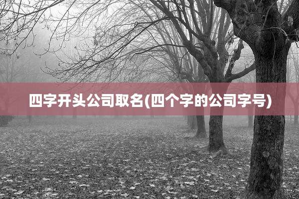 四字开头公司取名(四个字的公司字号)