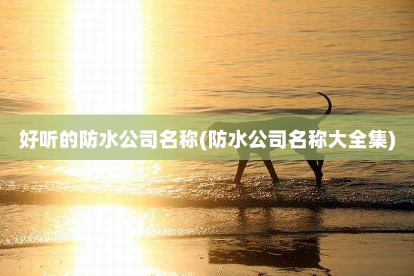好听的防水公司名称(防水公司名称大全集)