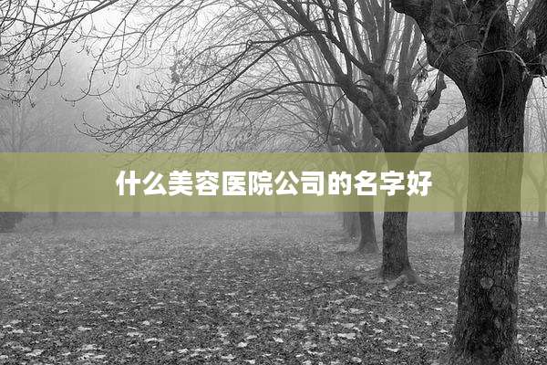 什么美容医院公司的名字好