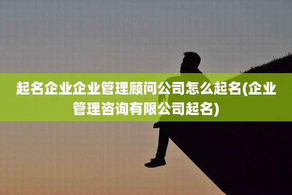 起名企业企业管理顾问公司怎么起名(企业管理咨询有限公司起名)