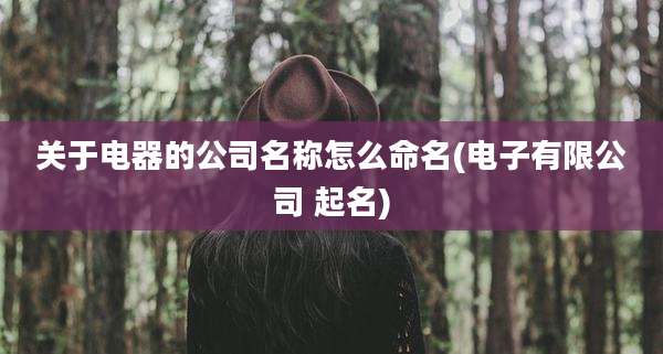 关于电器的公司名称怎么命名(电子有限公司 起名)