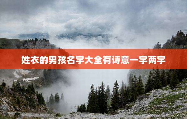 姓衣的男孩名字大全有诗意一字两字