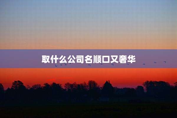 取什么公司名顺口又奢华