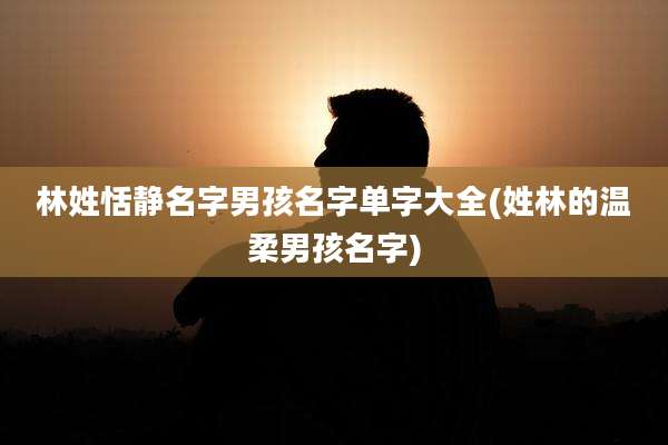 林姓恬静名字男孩名字单字大全(姓林的温柔男孩名字)