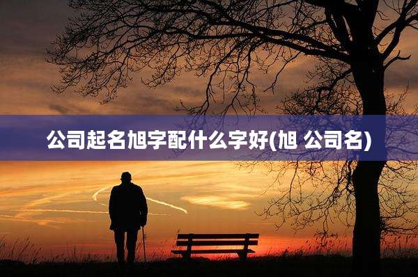 公司起名旭字配什么字好(旭 公司名)