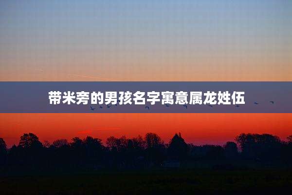 带米旁的男孩名字寓意属龙姓伍