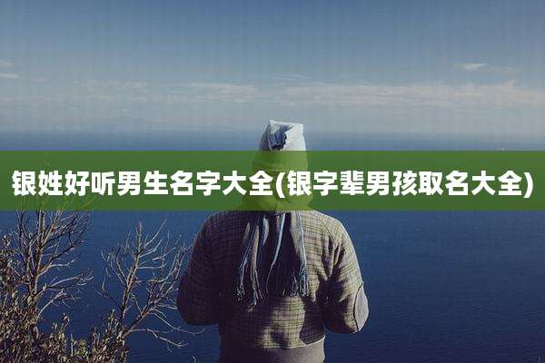 银姓好听男生名字大全(银字辈男孩取名大全)