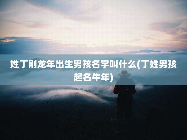 姓丁刚龙年出生男孩名字叫什么(丁姓男孩起名牛年)
