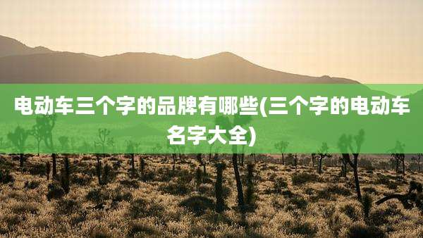 电动车三个字的品牌有哪些(三个字的电动车名字大全)
