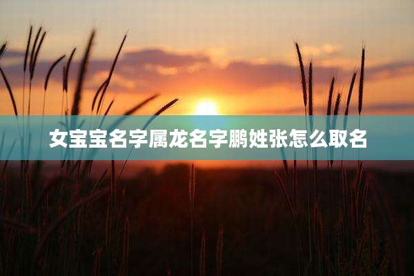 女宝宝名字属龙名字鹏姓张怎么取名