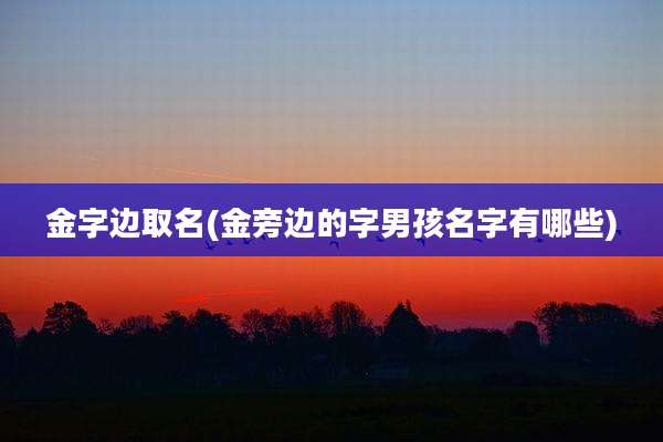 金字边取名(金旁边的字男孩名字有哪些)