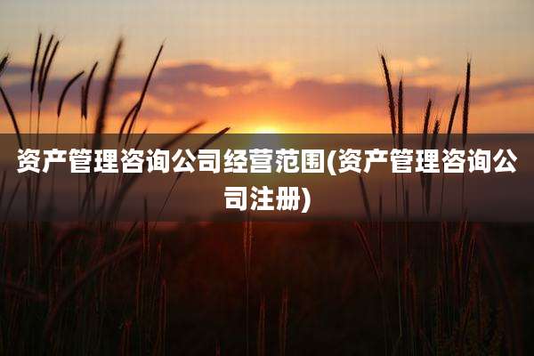 资产管理咨询公司经营范围(资产管理咨询公司注册)