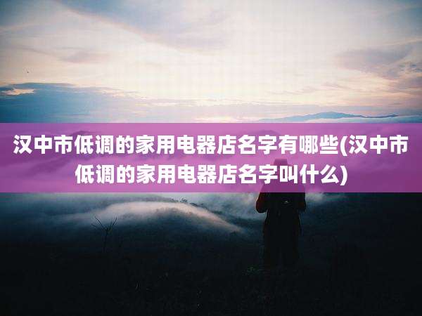 汉中市低调的家用电器店名字有哪些(汉中市低调的家用电器店名字叫什么)