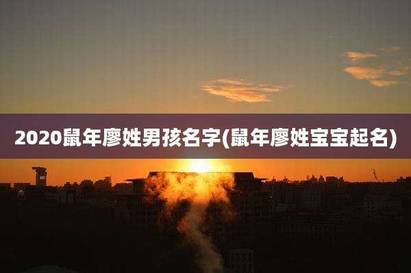 2020鼠年廖姓男孩名字(鼠年廖姓宝宝起名)