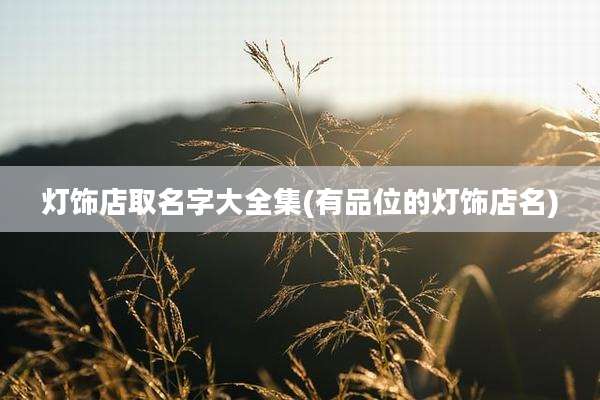 灯饰店取名字大全集(有品位的灯饰店名)
