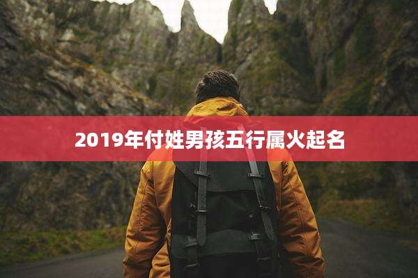 2019年付姓男孩五行属火起名