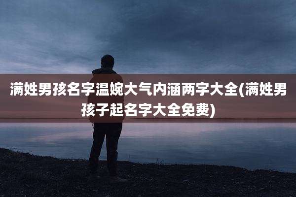 满姓男孩名字温婉大气内涵两字大全(满姓男孩子起名字大全免费)