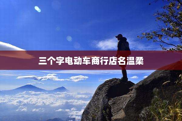三个字电动车商行店名温柔