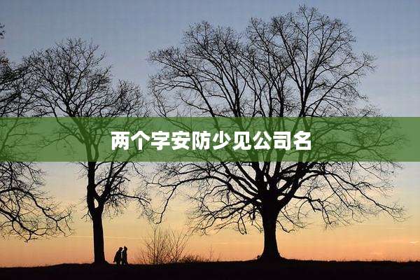 两个字安防少见公司名