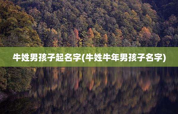 牛姓男孩子起名字(牛姓牛年男孩子名字)