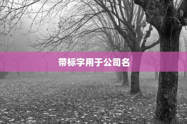 带标字用于公司名