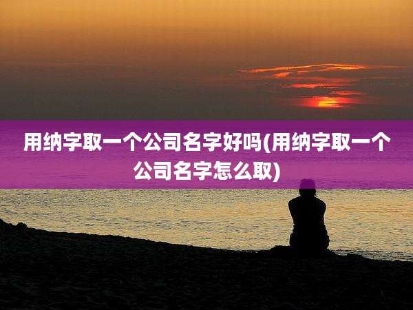 用纳字取一个公司名字好吗(用纳字取一个公司名字怎么取)
