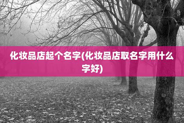 化妆品店起个名字(化妆品店取名字用什么字好)