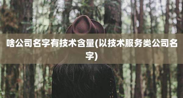 啥公司名字有技术含量(以技术服务类公司名字)