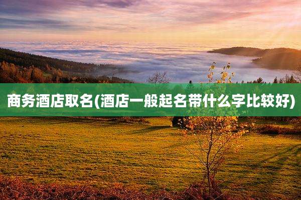 商务酒店取名(酒店一般起名带什么字比较好)