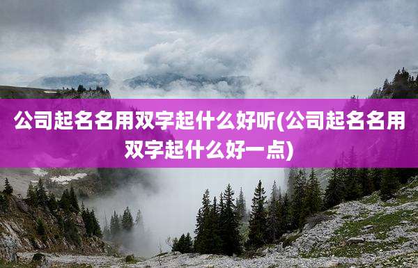 公司起名名用双字起什么好听(公司起名名用双字起什么好一点)
