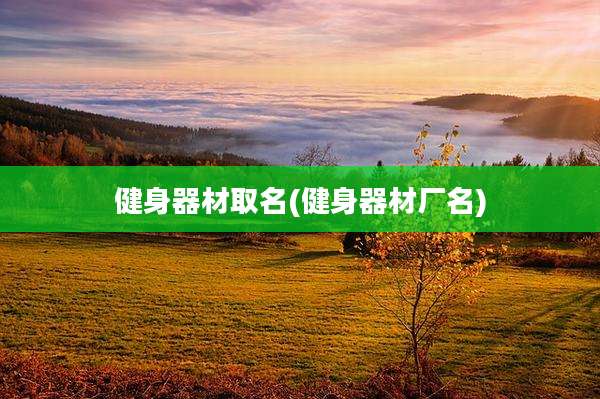 健身器材取名(健身器材厂名)