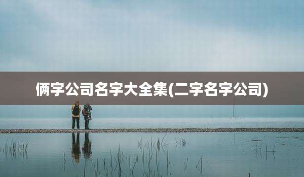 俩字公司名字大全集(二字名字公司)