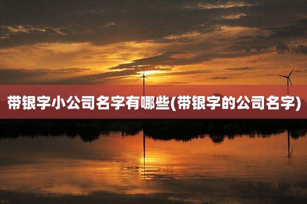 带银字小公司名字有哪些(带银字的公司名字)