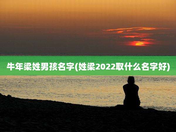 牛年梁姓男孩名字(姓梁2022取什么名字好)