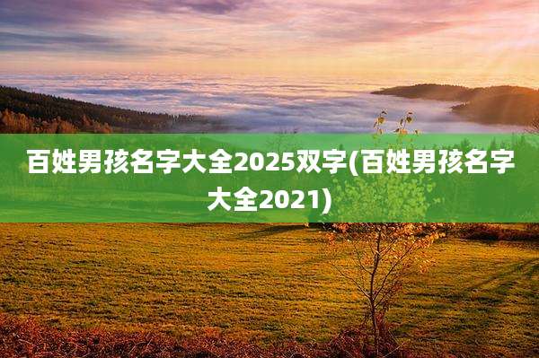 百姓男孩名字大全2025双字(百姓男孩名字大全2021)