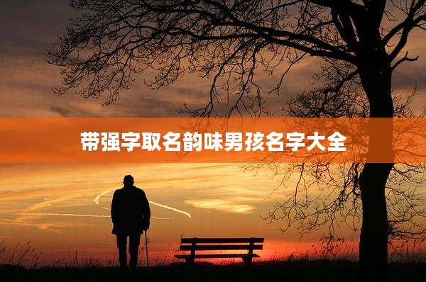 带强字取名韵味男孩名字大全