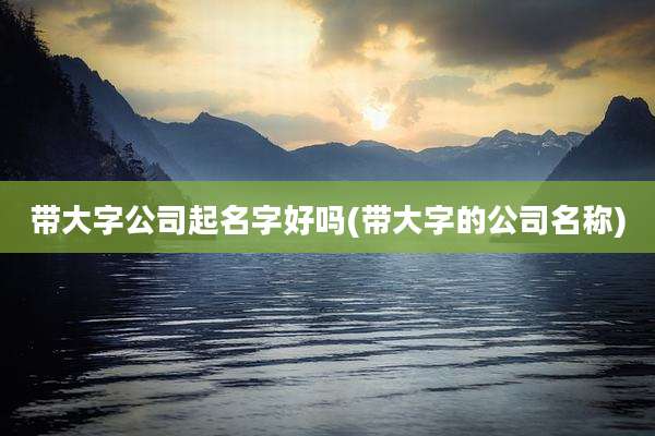 带大字公司起名字好吗(带大字的公司名称)