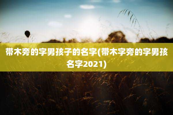 带木旁的字男孩子的名字(带木字旁的字男孩名字2021)