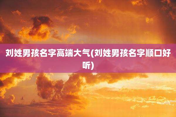 刘姓男孩名字高端大气(刘姓男孩名字顺口好听)