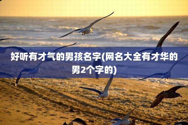 好听有才气的男孩名字(网名大全有才华的男2个字的)