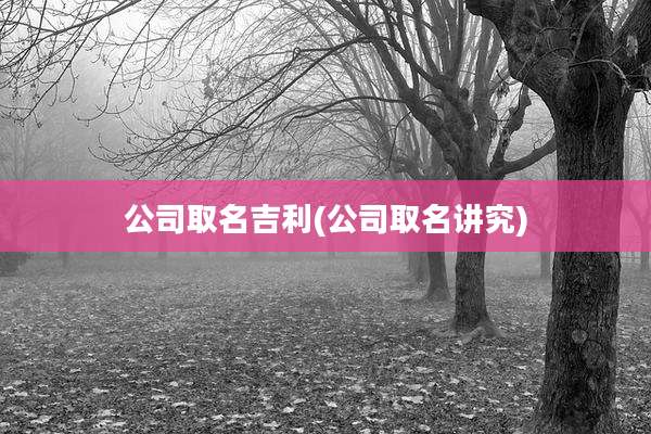 公司取名吉利(公司取名讲究)