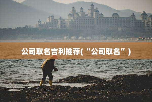 公司取名吉利推荐(“公司取名”)