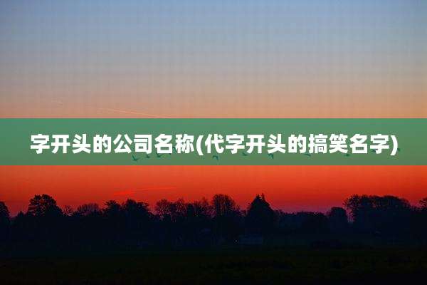 字开头的公司名称(代字开头的搞笑名字)