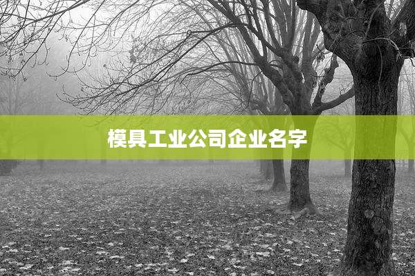 模具工业公司企业名字