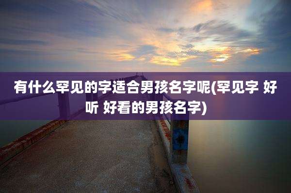 有什么罕见的字适合男孩名字呢(罕见字 好听 好看的男孩名字)