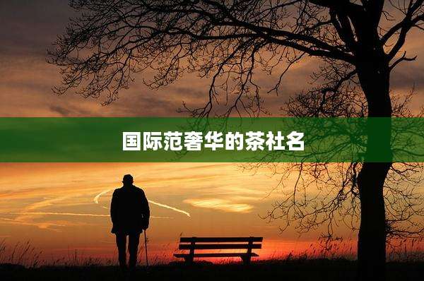 国际范奢华的茶社名