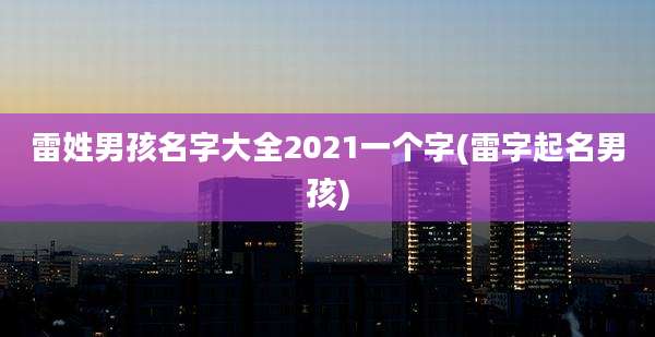 雷姓男孩名字大全2021一个字(雷字起名男孩)